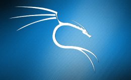 Kali Linux Kurulumu