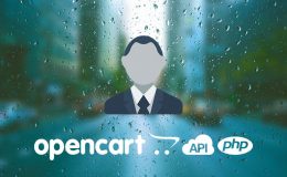 OpenCart RestApi Customer Login